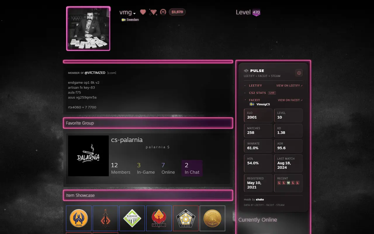 Faceit section: ELO, level, winrate and recent results, panel tinted to the profile